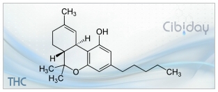 THC Tetrahydrocannabinol info